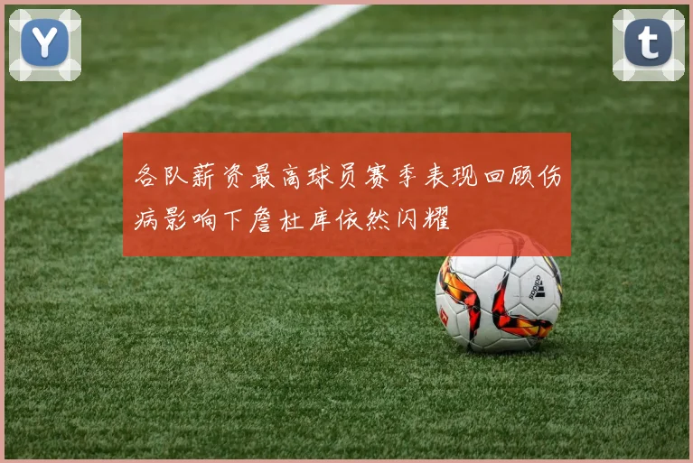 各队薪资最高球员赛季表现回顾伤病影响下詹杜库依然闪耀
