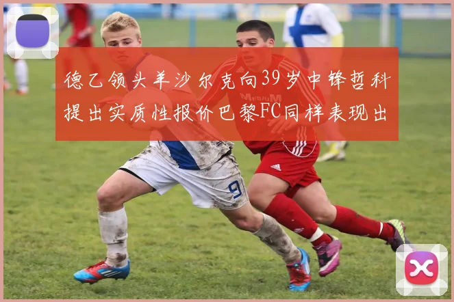 德乙领头羊沙尔克向39岁中锋哲科提出实质性报价巴黎FC同样表现出兴趣