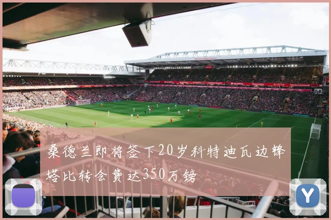 桑德兰即将签下20岁科特迪瓦边锋塔比转会费达350万镑